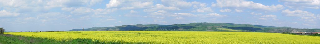 Натиснете снимката за да я уголемите

Име:Panorama 2.jpg
Прегледи:1
Размер:28.2 КБ
ID:5556300