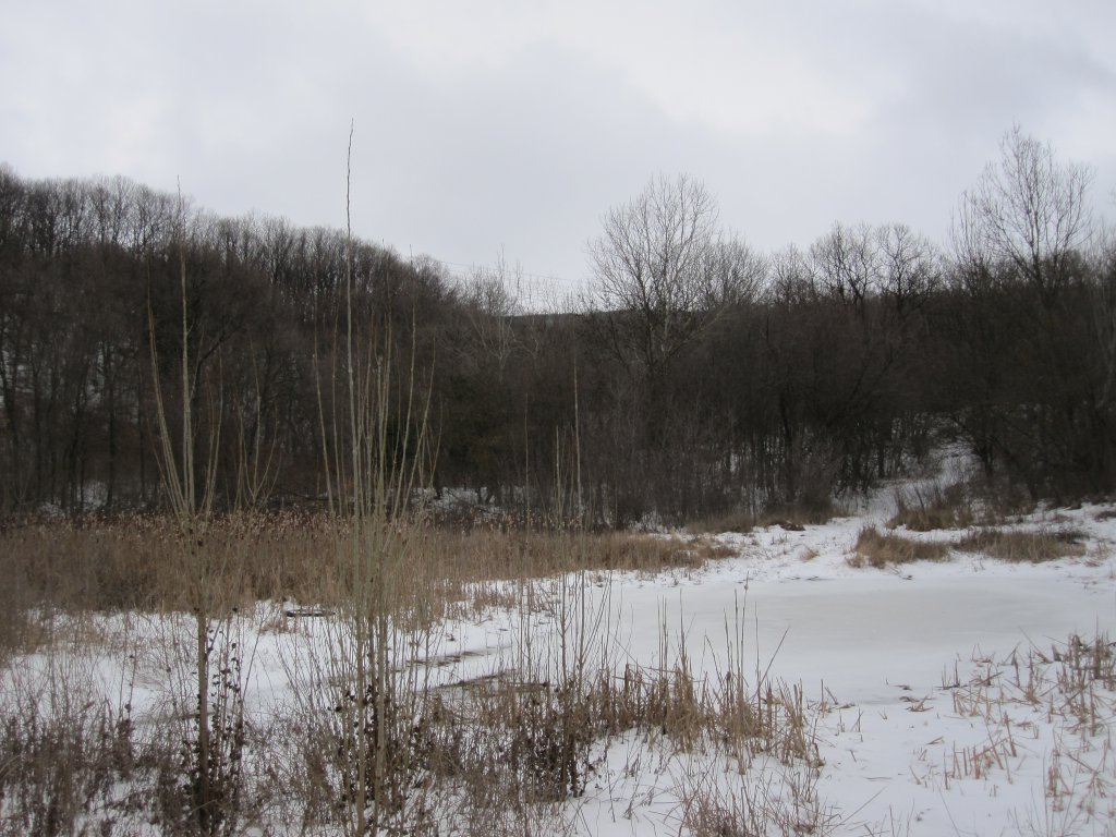 Натиснете снимката за да я уголемите

Име:IMG_0069.jpg
Прегледи:1
Размер:154.1 КБ
ID:6044259