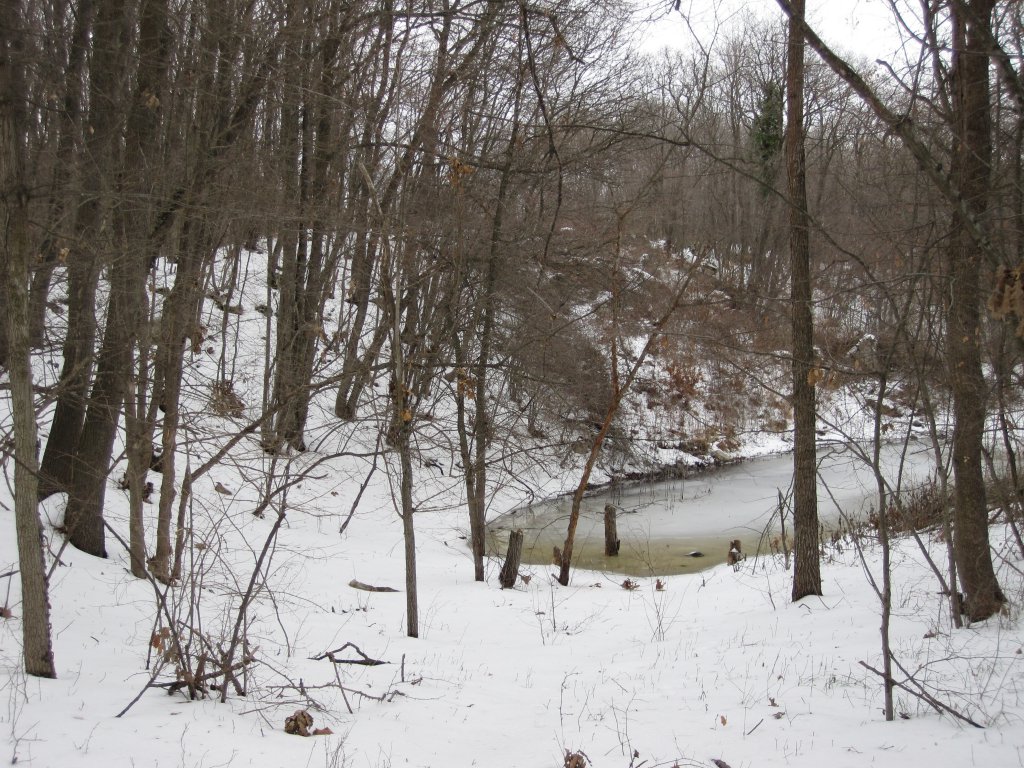 Натиснете снимката за да я уголемите

Име:IMG_0070.jpg
Прегледи:1
Размер:237.0 КБ
ID:6044260