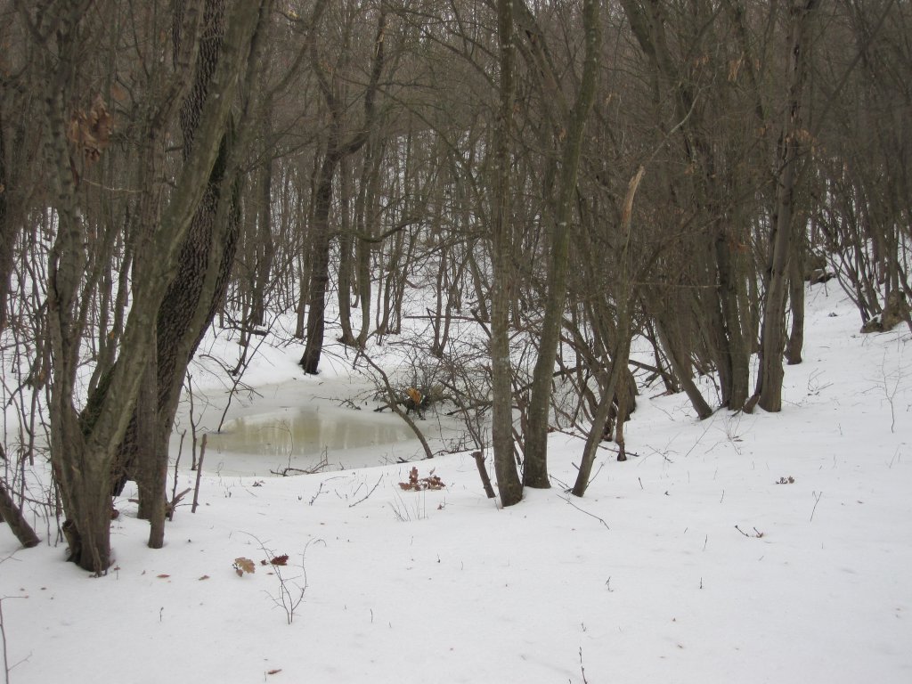 Натиснете снимката за да я уголемите

Име:IMG_0071.jpg
Прегледи:1
Размер:166.1 КБ
ID:6044261