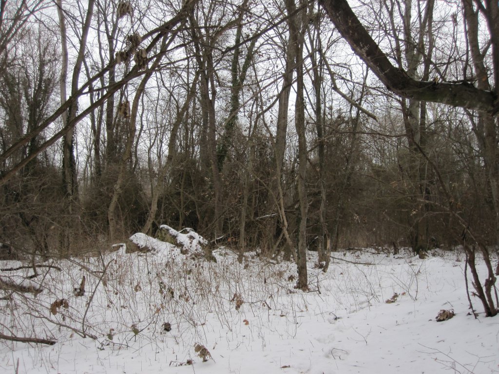 Натиснете снимката за да я уголемите

Име:IMG_0072.jpg
Прегледи:1
Размер:253.5 КБ
ID:6044262