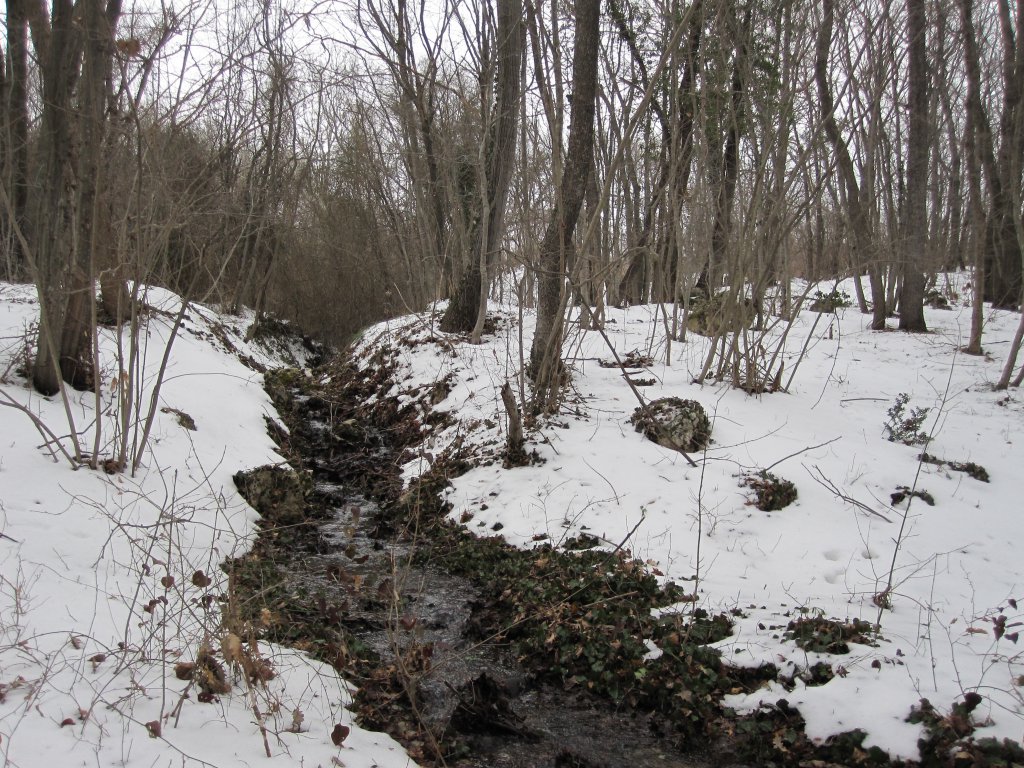 Натиснете снимката за да я уголемите

Име:IMG_0073.jpg
Прегледи:1
Размер:256.4 КБ
ID:6044263