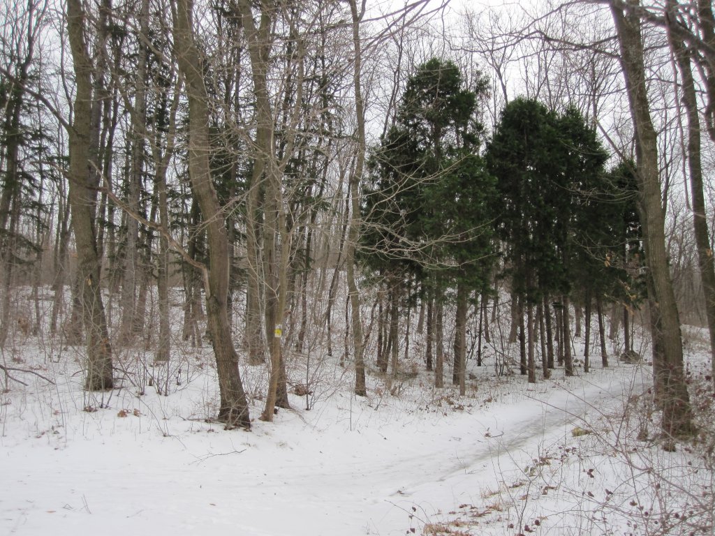Натиснете снимката за да я уголемите

Име:IMG_0074.jpg
Прегледи:1
Размер:251.6 КБ
ID:6044264