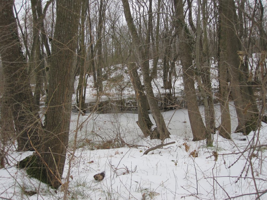 Натиснете снимката за да я уголемите

Име:IMG_0075.jpg
Прегледи:1
Размер:244.1 КБ
ID:6044265