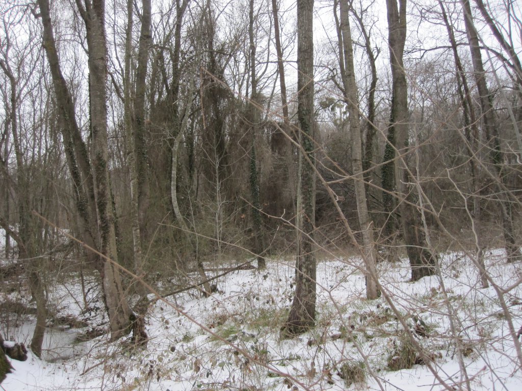 Натиснете снимката за да я уголемите

Име:IMG_0076.jpg
Прегледи:1
Размер:257.1 КБ
ID:6044266