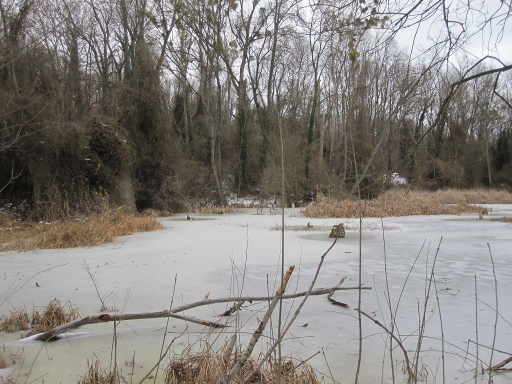 Натиснете снимката за да я уголемите

Име:IMG_0077.jpg
Прегледи:1
Размер:214.4 КБ
ID:6044267