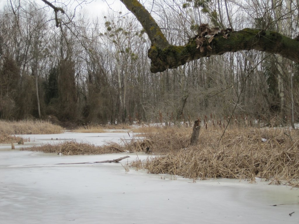Натиснете снимката за да я уголемите

Име:IMG_0078.jpg
Прегледи:1
Размер:188.9 КБ
ID:6044268