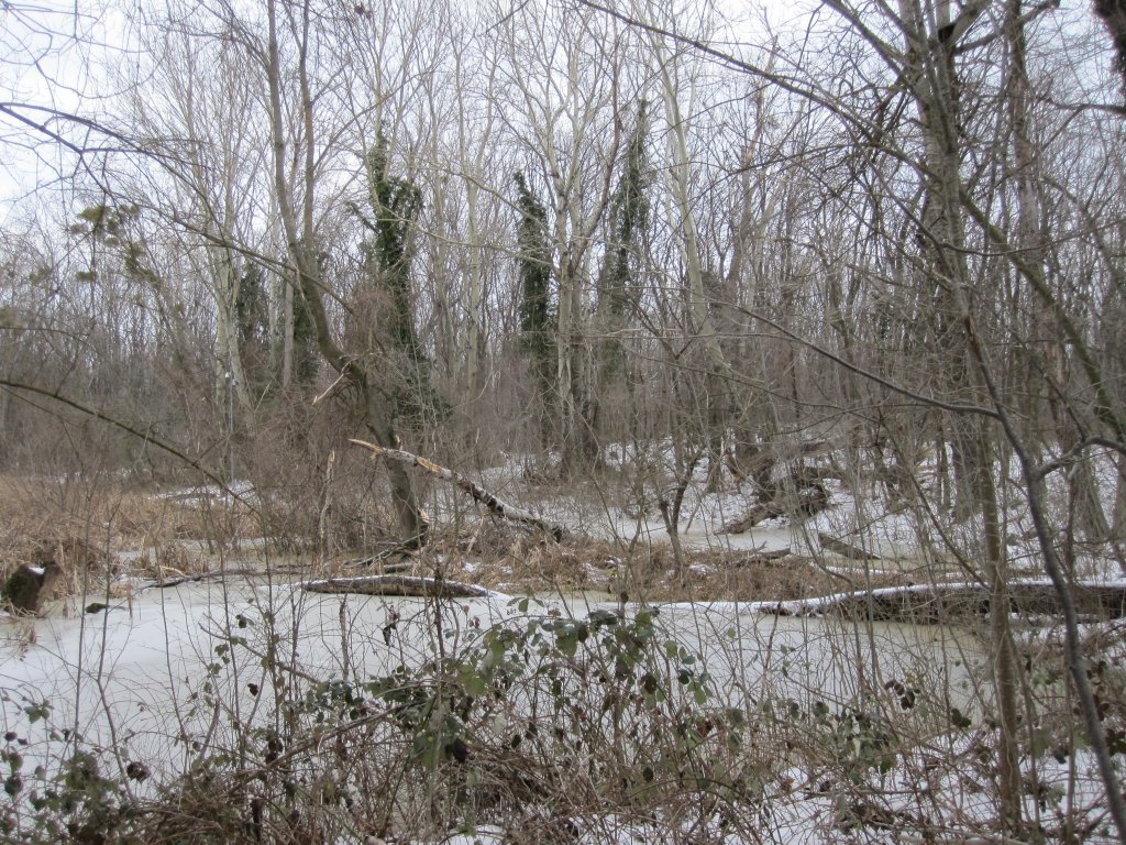 Натиснете снимката за да я уголемите

Име:IMG_0079.jpg
Прегледи:1
Размер:296.0 КБ
ID:6044269