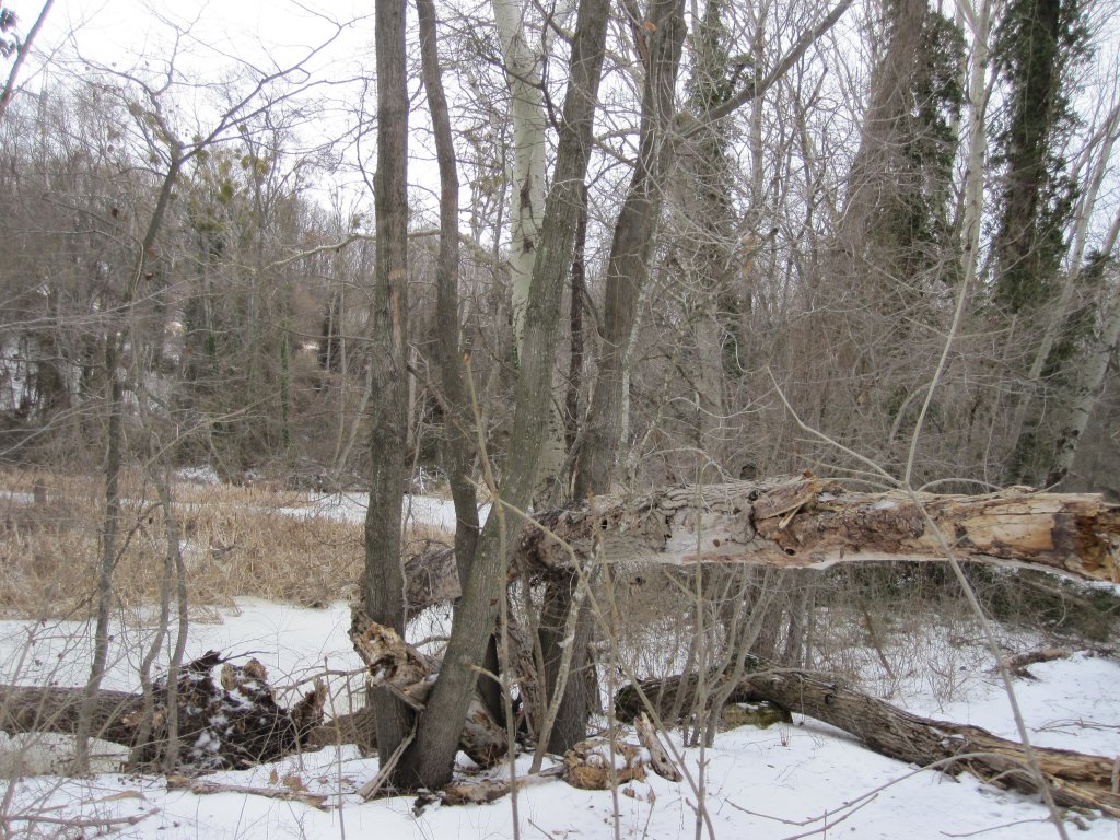Натиснете снимката за да я уголемите

Име:IMG_0080.jpg
Прегледи:1
Размер:247.5 КБ
ID:6044270