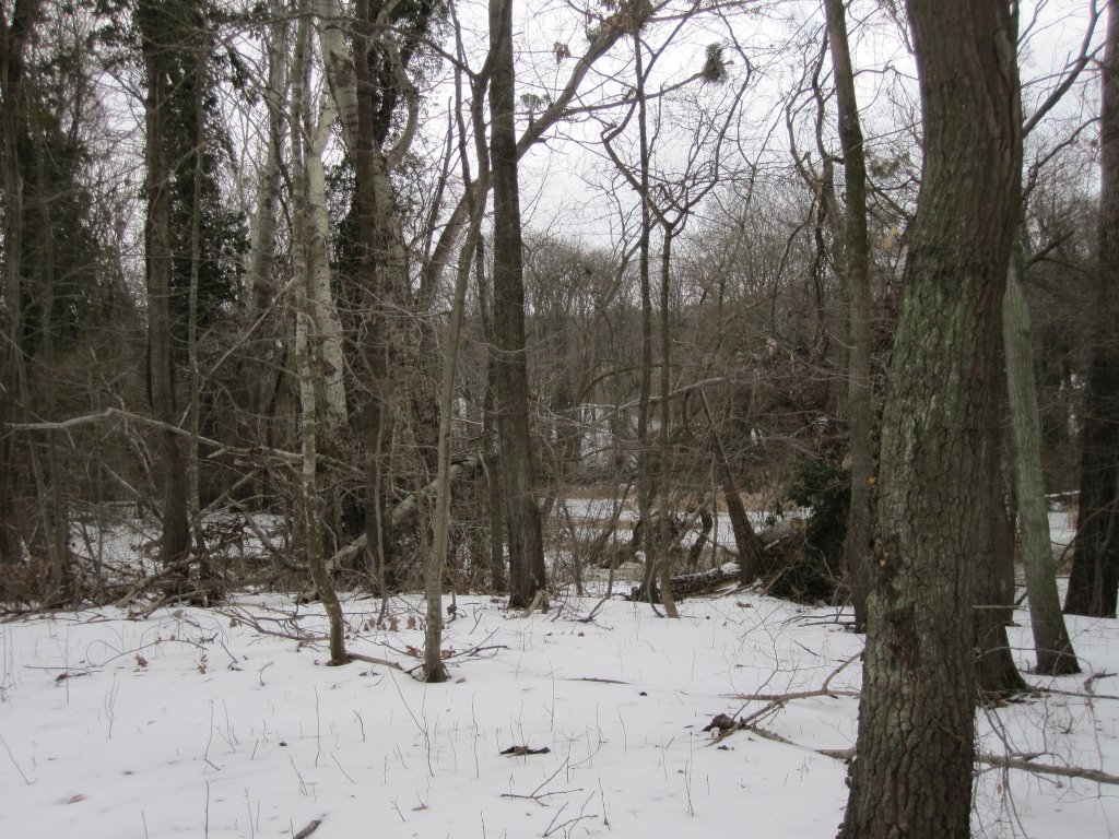 Натиснете снимката за да я уголемите

Име:IMG_0081.jpg
Прегледи:1
Размер:212.9 КБ
ID:6044271