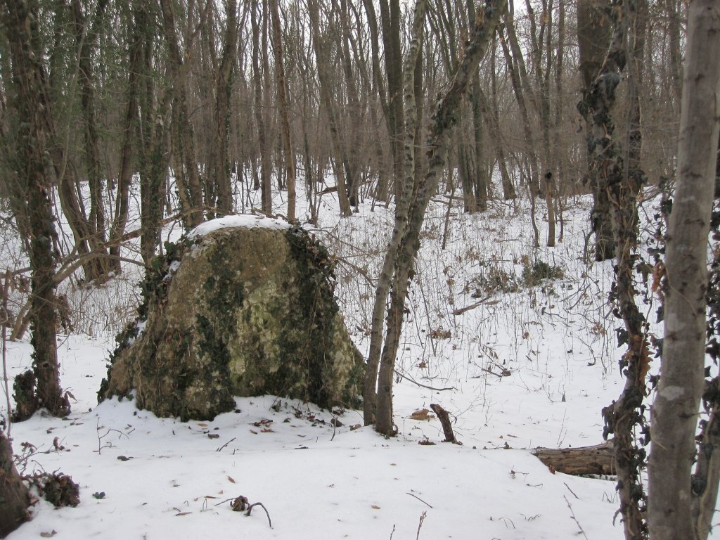 Натиснете снимката за да я уголемите

Име:IMG_0083.jpg
Прегледи:1
Размер:228.1 КБ
ID:6044273