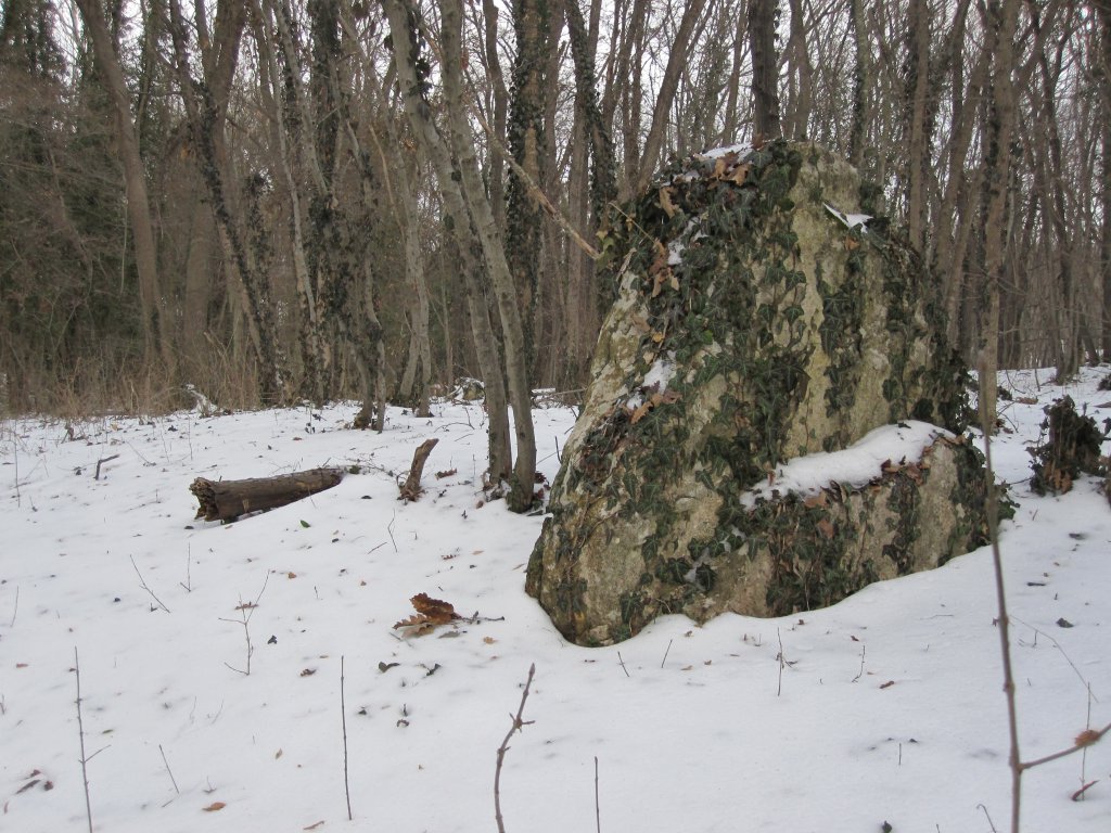 Натиснете снимката за да я уголемите

Име:IMG_0084.jpg
Прегледи:1
Размер:189.9 КБ
ID:6044274