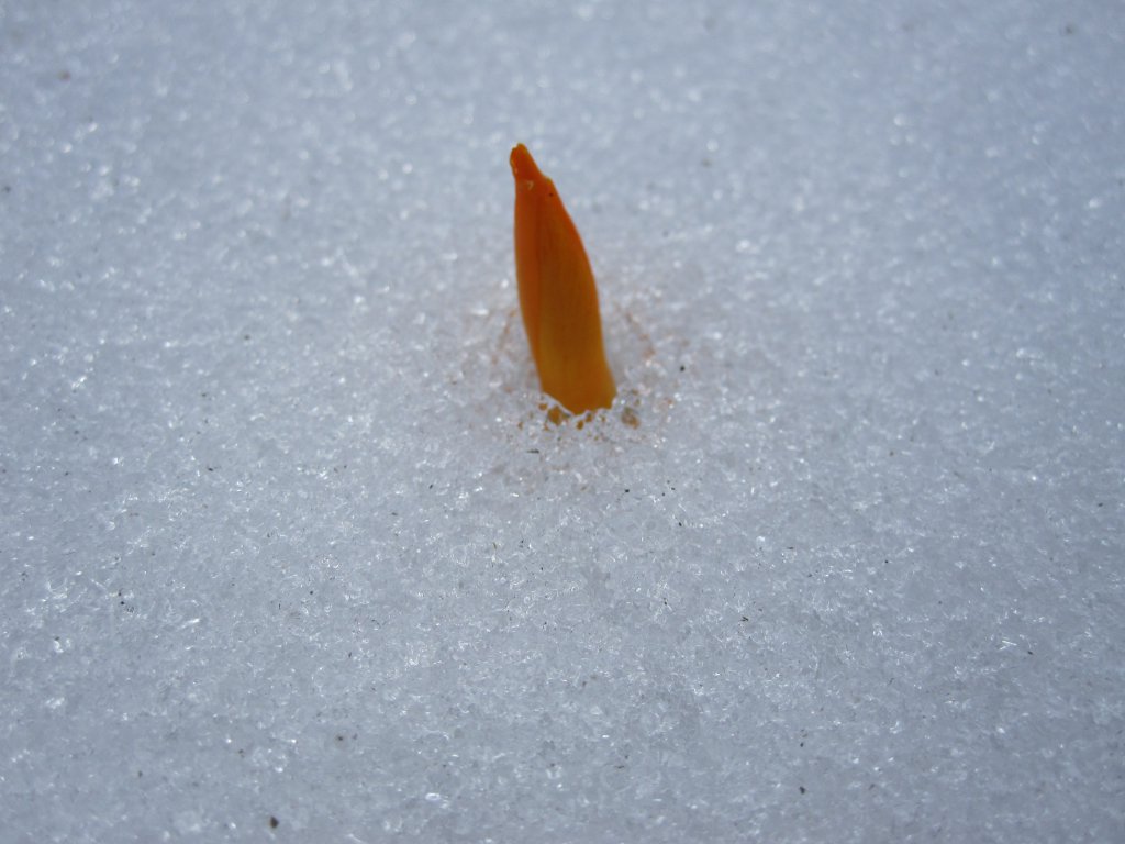 Натиснете снимката за да я уголемите

Име:IMG_0086.jpg
Прегледи:1
Размер:99.7 КБ
ID:6044276