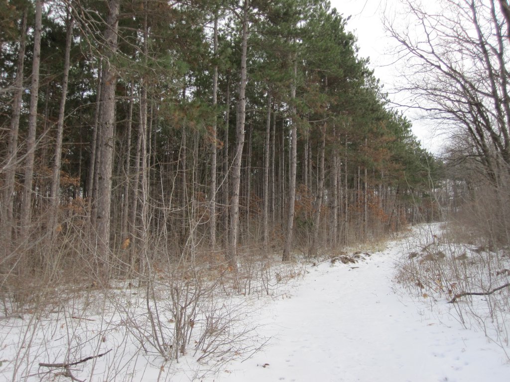 Натиснете снимката за да я уголемите

Име:IMG_0088.jpg
Прегледи:1
Размер:220.7 КБ
ID:6044278