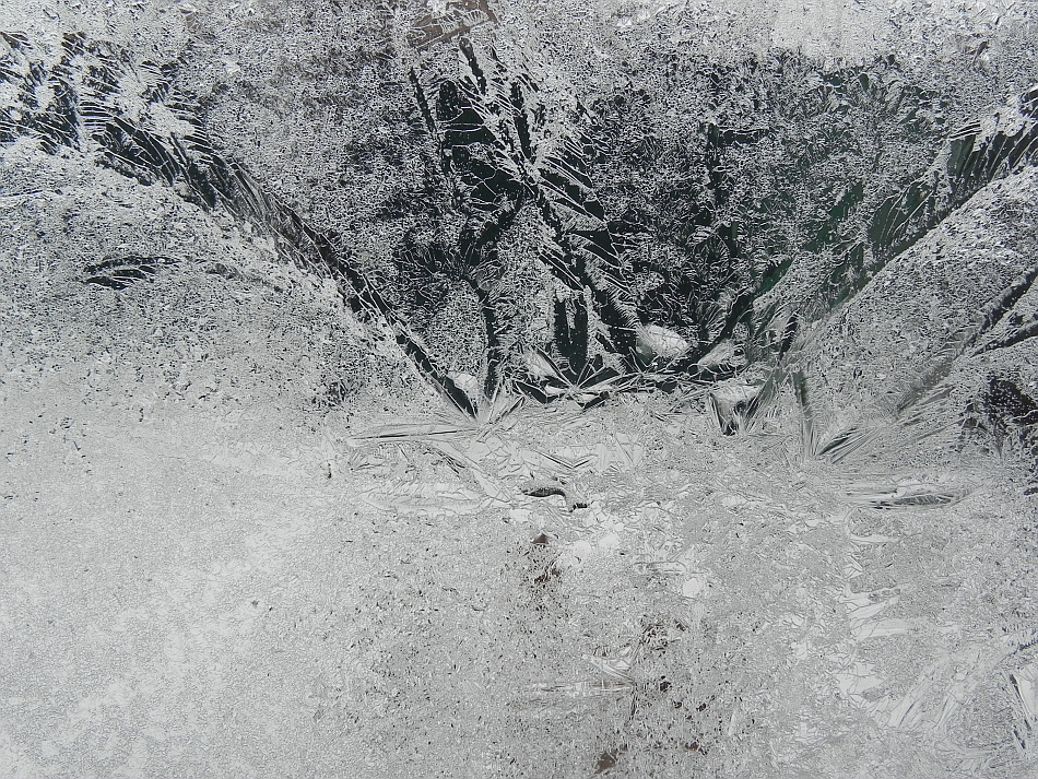 Натиснете снимката за да я уголемите

Име:Frozen flawers.jpg
Прегледи:1
Размер:542.9 КБ
ID:5563441