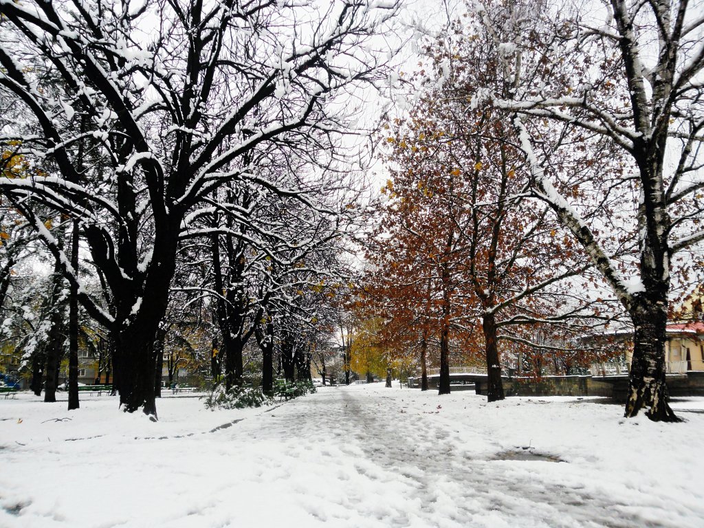 Натиснете снимката за да я уголемите

Име:SAM_4477.jpg
Прегледи:1
Размер:329.7 КБ
ID:5567869