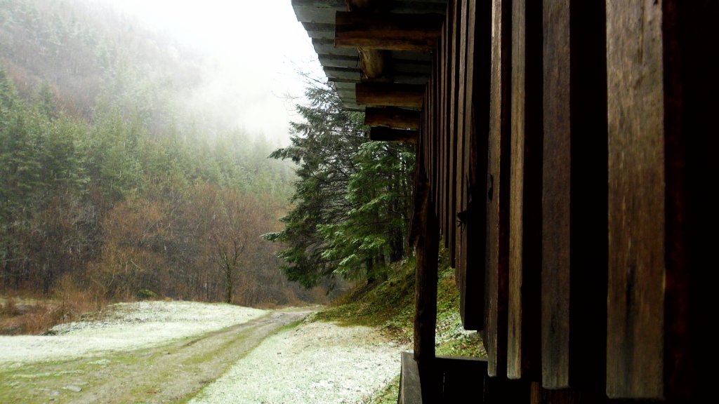 Натиснете снимката за да я уголемите

Име:SAM_4794.jpg
Прегледи:1
Размер:110.7 КБ
ID:5570395