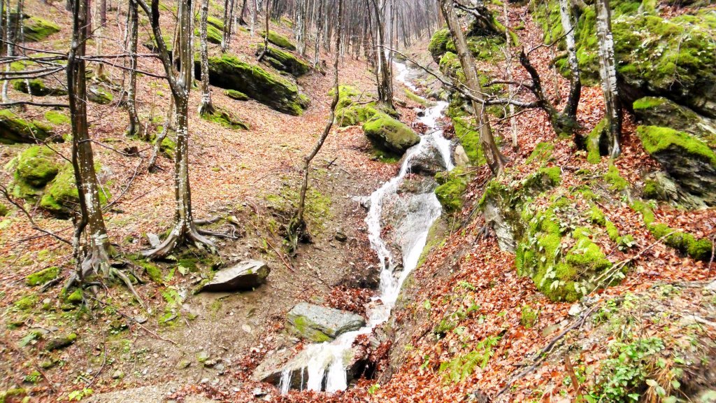 Натиснете снимката за да я уголемите

Име:SAM_4803.jpg
Прегледи:1
Размер:278.0 КБ
ID:5570396