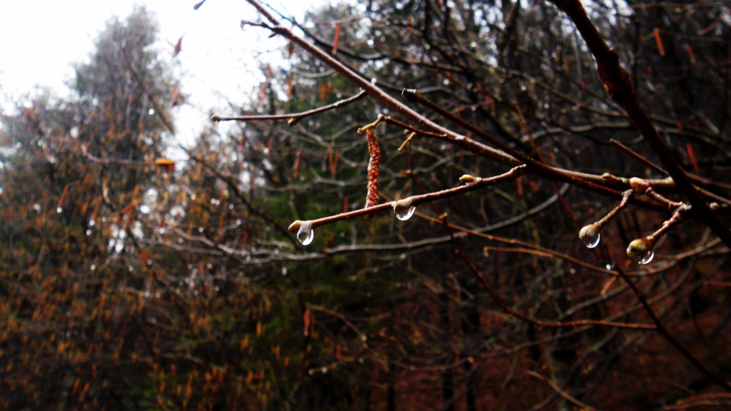 Натиснете снимката за да я уголемите

Име:SAM_4809.jpg
Прегледи:1
Размер:107.8 КБ
ID:5570397