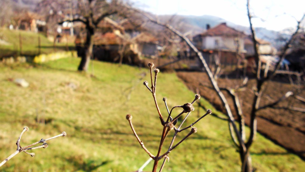 Натиснете снимката за да я уголемите

Име:SAM_4826.jpg
Прегледи:1
Размер:93.5 КБ
ID:5570400