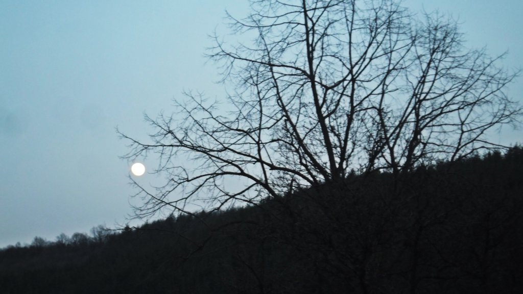 Натиснете снимката за да я уголемите

Име:SAM_4899.jpg
Прегледи:1
Размер:94.4 КБ
ID:5571627