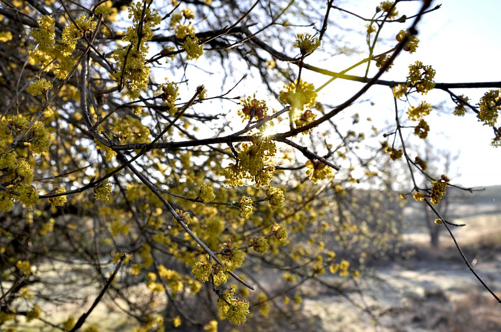 Натиснете снимката за да я уголемите

Име:_DSC1354_1.jpg
Прегледи:1
Размер:199.1 КБ
ID:5572623