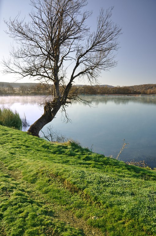 Натиснете снимката за да я уголемите

Име:_DSC1353_1.jpg
Прегледи:1
Размер:139.6 КБ
ID:5572626