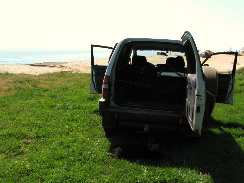 Натиснете снимката за да я уголемите

Име:Варна 2013 082.jpg
Прегледи:1
Размер:143.5 КБ
ID:5574533