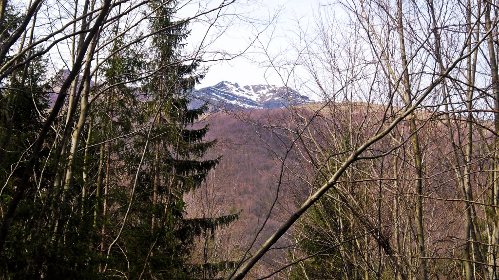 Натиснете снимката за да я уголемите

Име:SAM_4943.jpg
Прегледи:1
Размер:259.1 КБ
ID:5574629