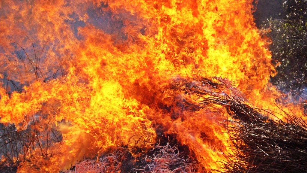 Натиснете снимката за да я уголемите

Име:SAM_4949.jpg
Прегледи:1
Размер:175.1 КБ
ID:5574630