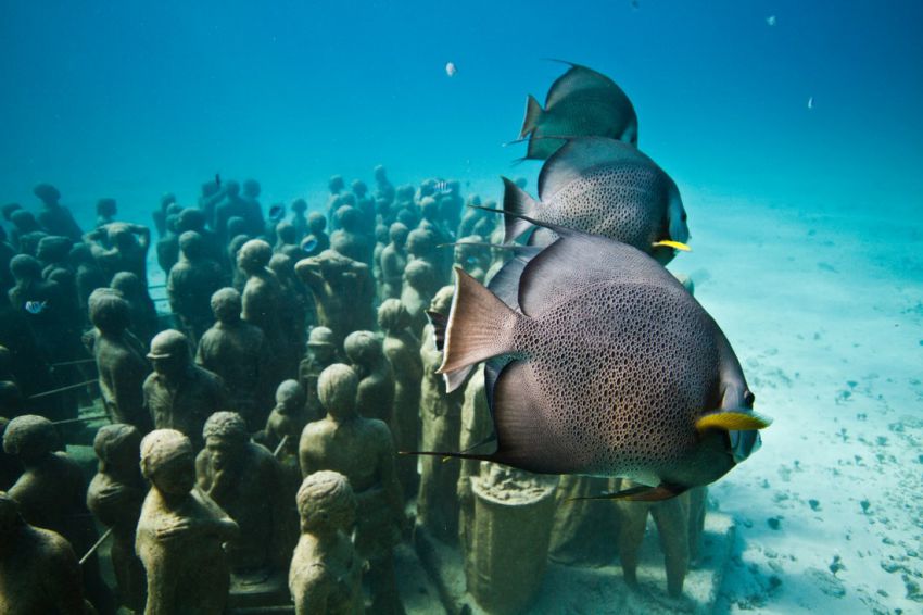 Натиснете снимката за да я уголемите

Име:underwater_sculpture_03777_023.jpg
Прегледи:1
Размер:69.4 КБ
ID:6051011