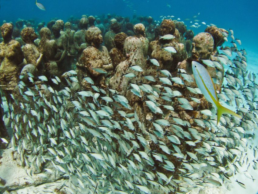 Натиснете снимката за да я уголемите

Име:underwater_sculpture_03777_024.jpg
Прегледи:1
Размер:146.2 КБ
ID:6051012