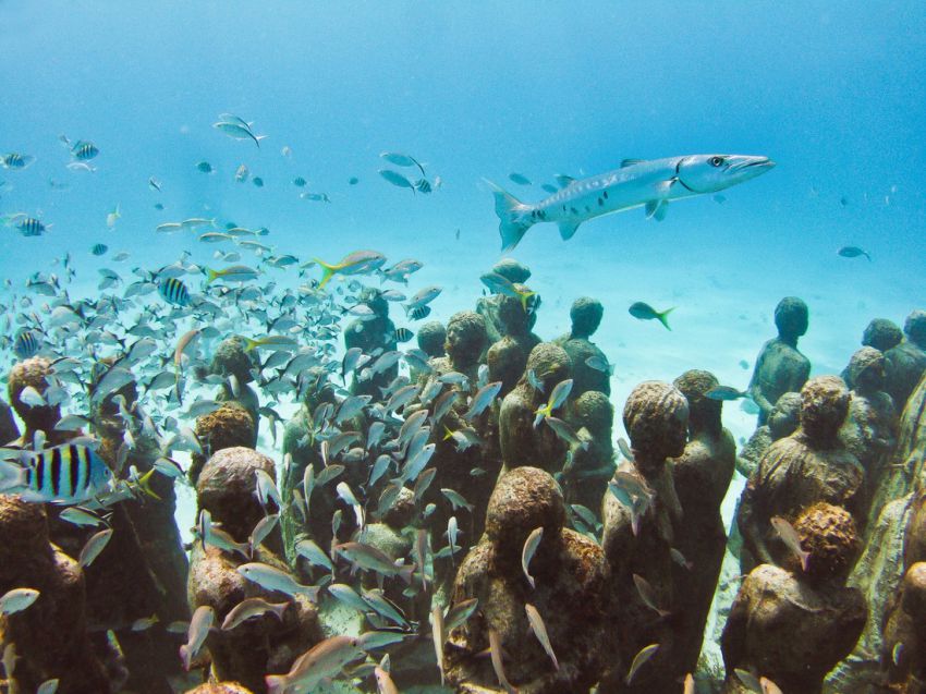 Натиснете снимката за да я уголемите

Име:underwater_sculpture_03777_026.jpg
Прегледи:1
Размер:103.8 КБ
ID:6051013