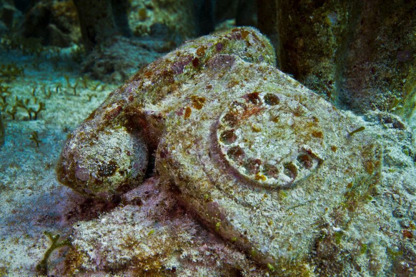 Натиснете снимката за да я уголемите

Име:underwater_sculpture_03777_029.jpg
Прегледи:1
Размер:137.8 КБ
ID:6051016