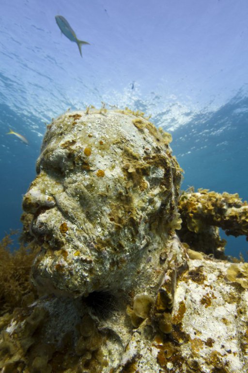 Натиснете снимката за да я уголемите

Име:underwater_sculpture_03777_032.jpg
Прегледи:1
Размер:88.4 КБ
ID:6051018