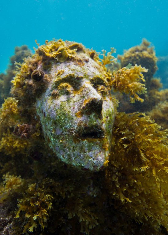 Натиснете снимката за да я уголемите

Име:underwater_sculpture_03777_036.jpg
Прегледи:1
Размер:85.7 КБ
ID:6051021