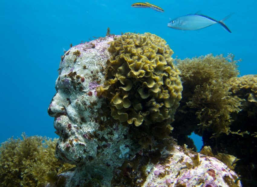 Натиснете снимката за да я уголемите

Име:underwater_sculpture_03777_041.jpg
Прегледи:1
Размер:89.3 КБ
ID:6051025