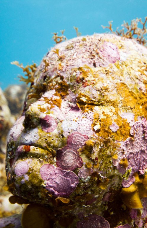 Натиснете снимката за да я уголемите

Име:underwater_sculpture_03777_043.jpg
Прегледи:1
Размер:98.4 КБ
ID:6051027