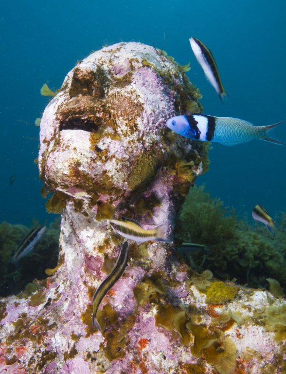 Натиснете снимката за да я уголемите

Име:underwater_sculpture_03777_045.jpg
Прегледи:1
Размер:102.9 КБ
ID:6051029