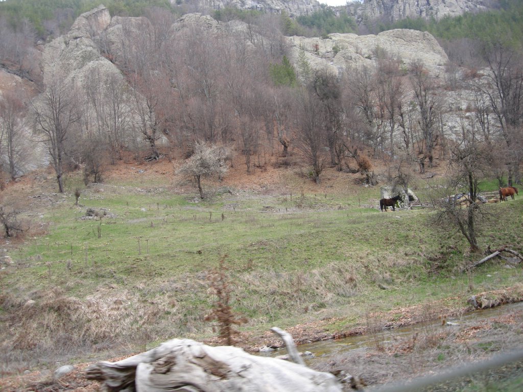 Натиснете снимката за да я уголемите

Име:Picture 444.jpg
Прегледи:1
Размер:206.1 КБ
ID:5575142