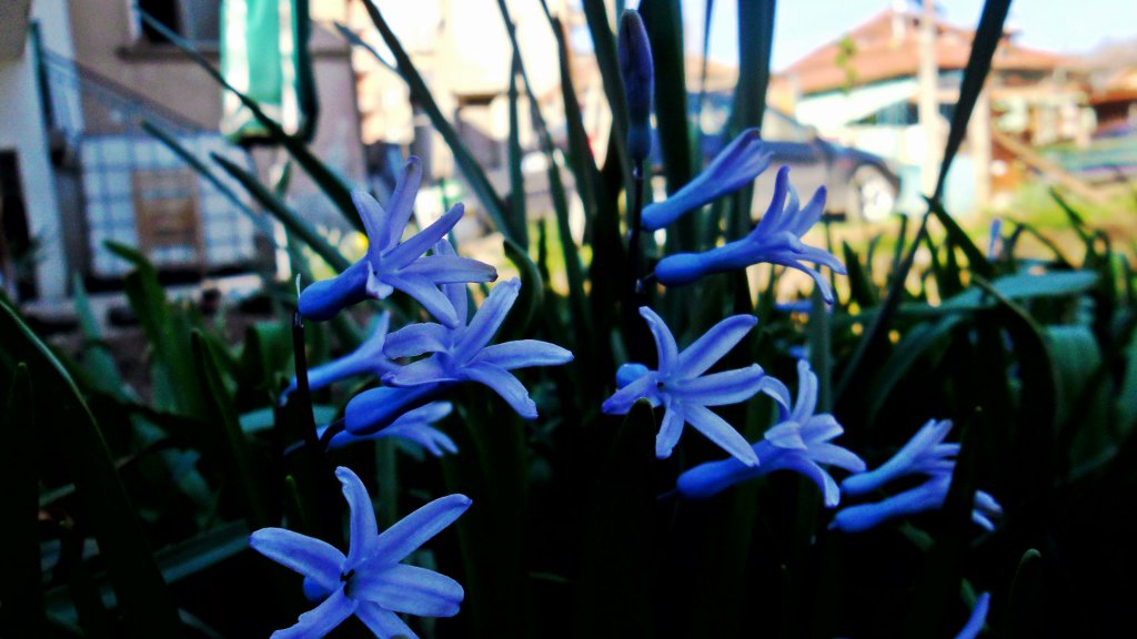 Натиснете снимката за да я уголемите

Име:SAM_4913.jpg
Прегледи:1
Размер:93.9 КБ
ID:5575937