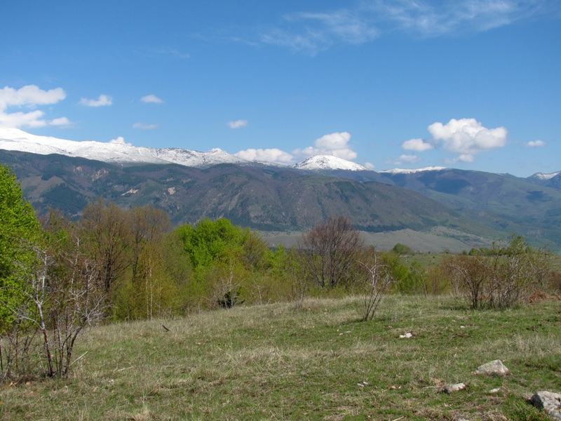 Натиснете снимката за да я уголемите

Име:IMG_3505.JPG
Прегледи:1
Размер:184.3 КБ
ID:6053548