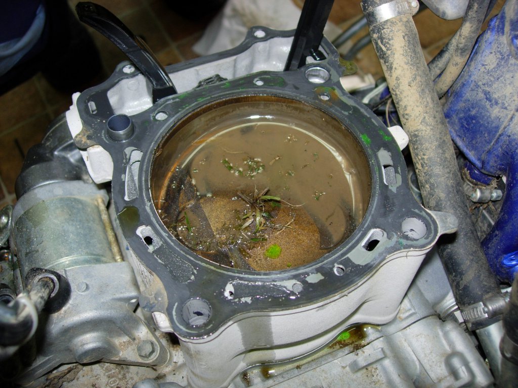 Натиснете снимката за да я уголемите

Име:DSCN2495.jpg
Прегледи:1
Размер:169.2 КБ
ID:5586686