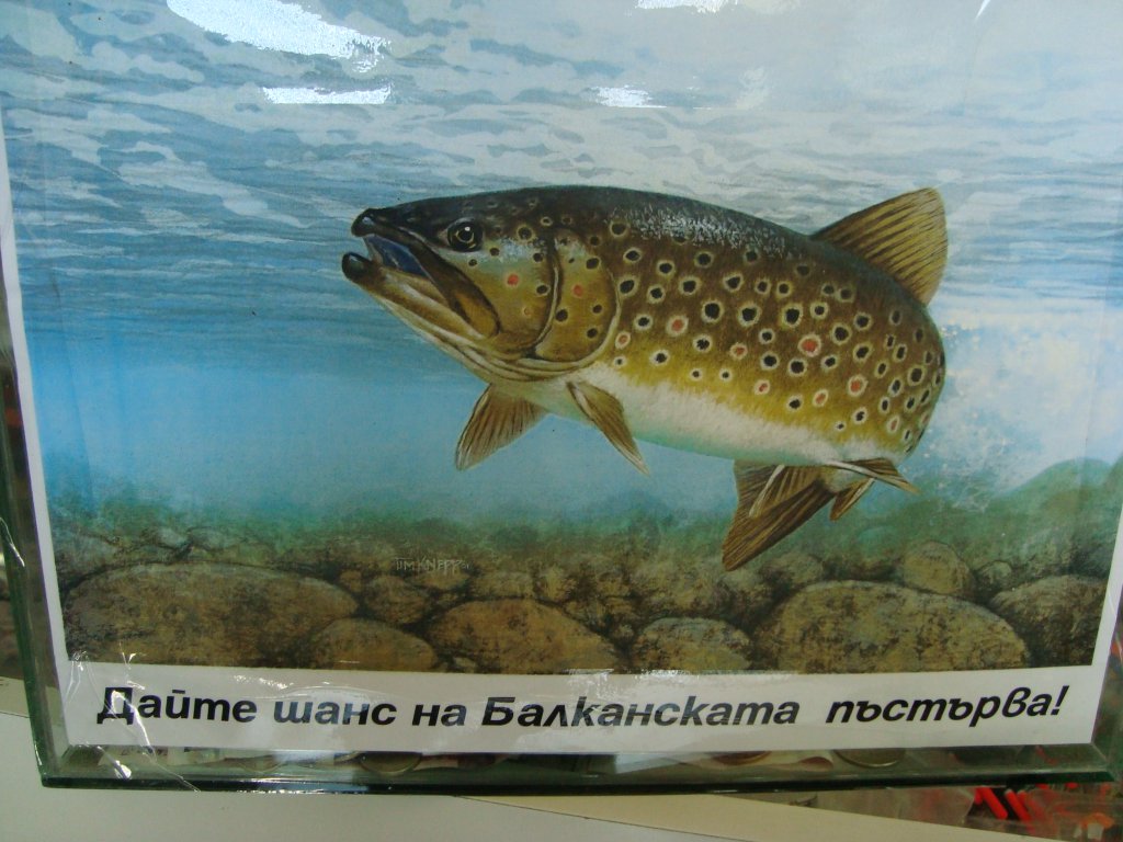 Натиснете снимката за да я уголемите

Име:DSC08189.jpg
Прегледи:1
Размер:134.3 КБ
ID:5593019