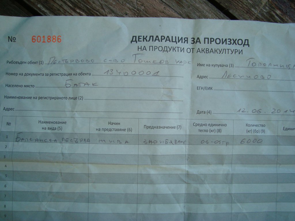 Натиснете снимката за да я уголемите

Име:DSC08247.jpg
Прегледи:1
Размер:110.3 КБ
ID:5593032