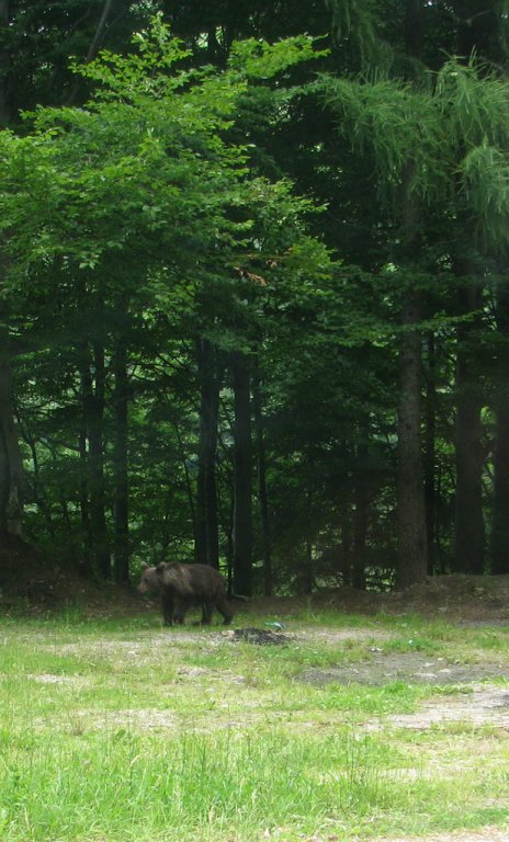 Натиснете снимката за да я уголемите

Име:IMG_9354_.jpg
Прегледи:2
Размер:95.5 КБ
ID:5602286