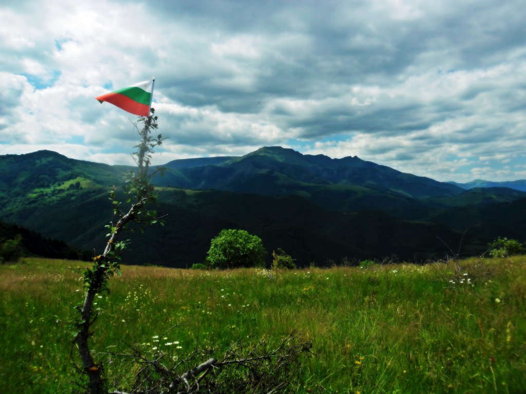 Натиснете снимката за да я уголемите

Име:SAM_5436.jpg
Прегледи:1
Размер:133.8 КБ
ID:5654714