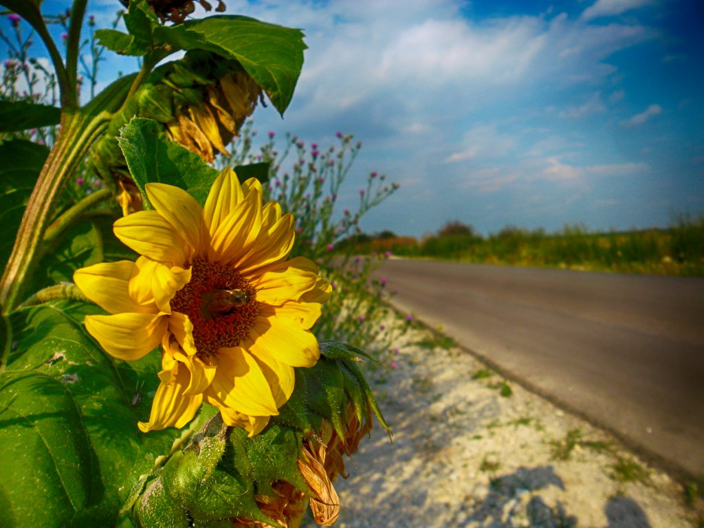 Натиснете снимката за да я уголемите

Име:SAM_5588.jpg
Прегледи:1
Размер:140.2 КБ
ID:5669819