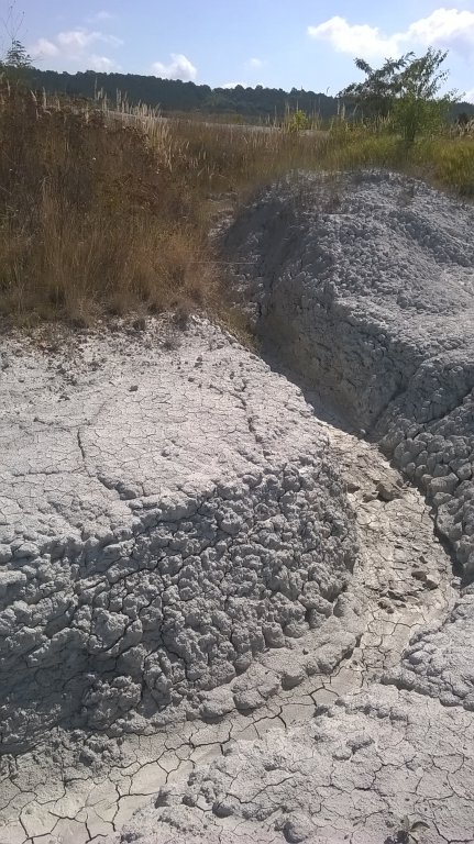 Натиснете снимката за да я уголемите

Име:WP_20150725_011.jpg
Прегледи:1
Размер:116.7 КБ
ID:5673107