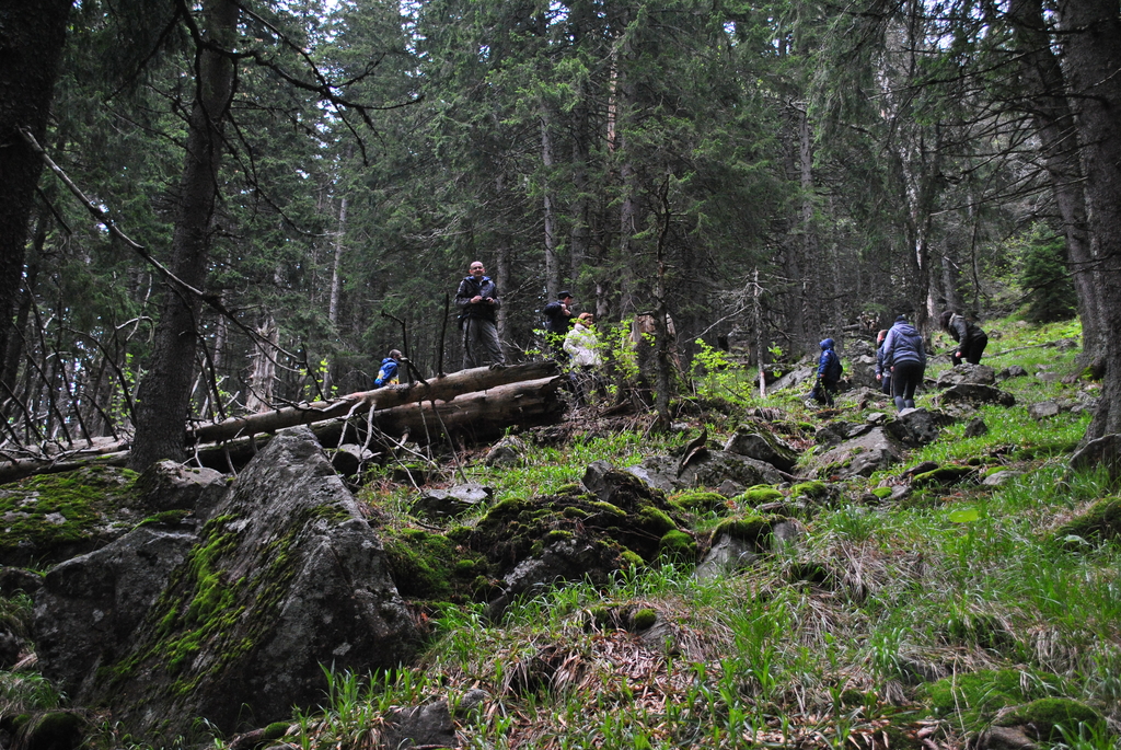 Натиснете снимката за да я уголемите

Име:DSC_1427_1.JPG
Прегледи:1
Размер:920.1 КБ
ID:5674810